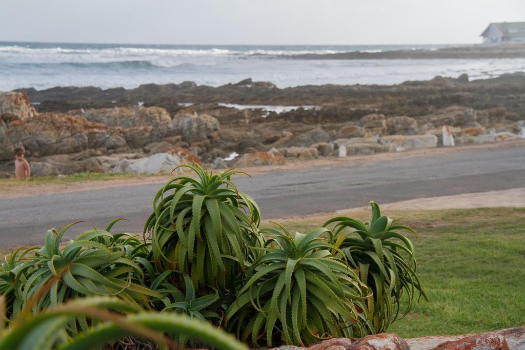 Little Rock Guesthouse Groot-Jongensfontein Eksteriør bilde